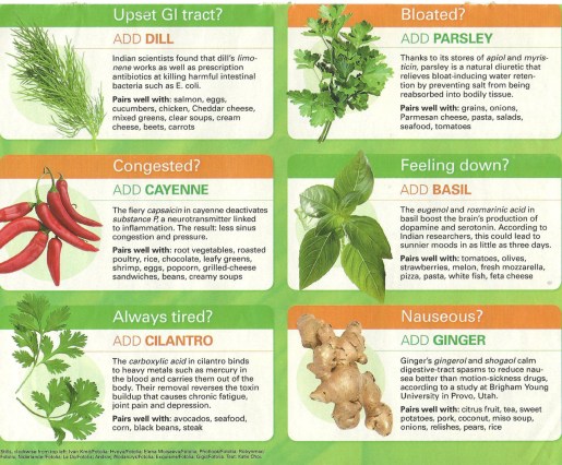 healing-herbs-2
